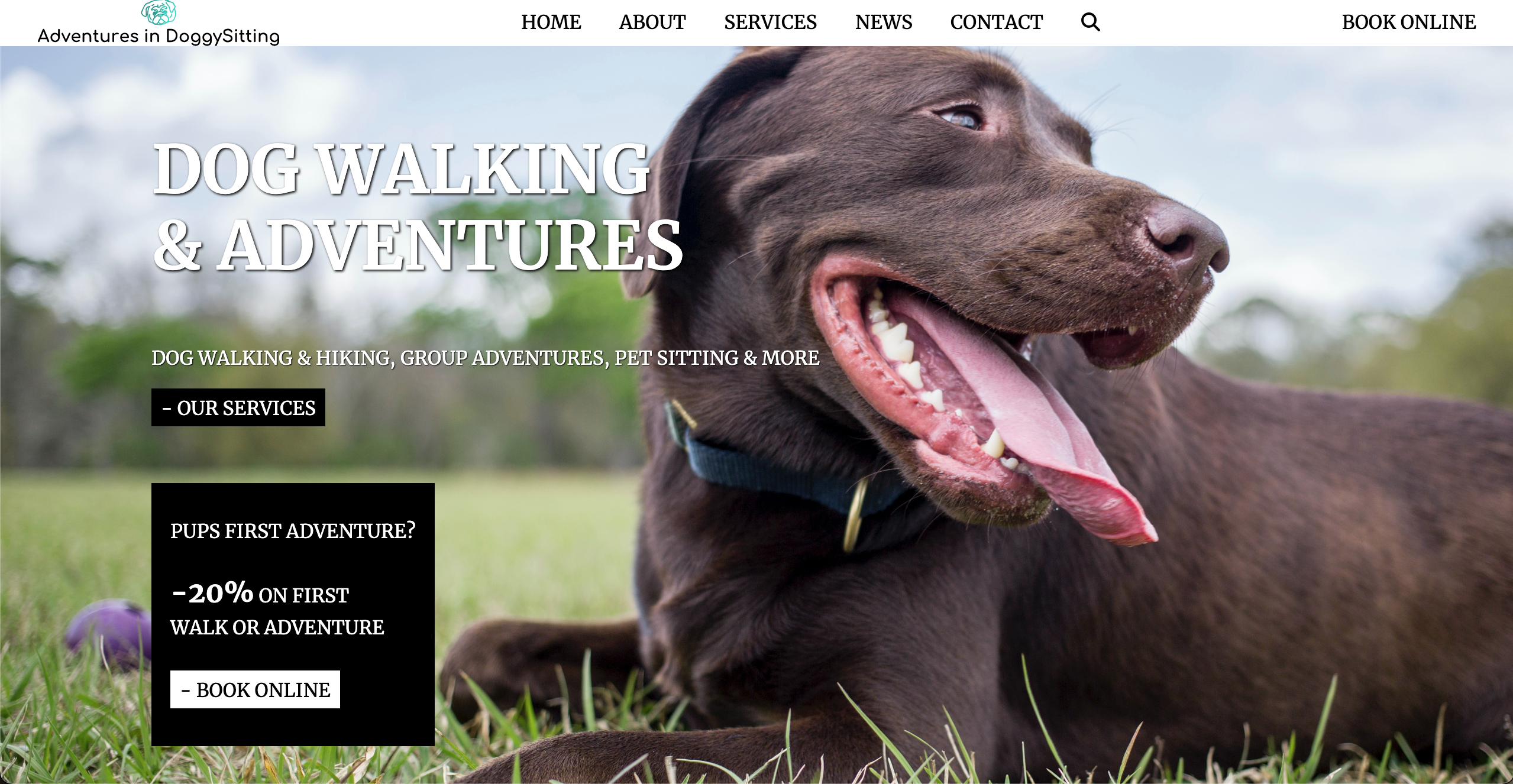 screenshot of dog website