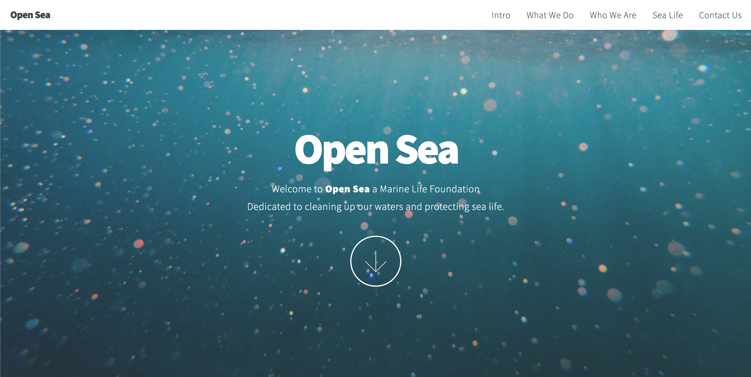 screenshot of open sea website